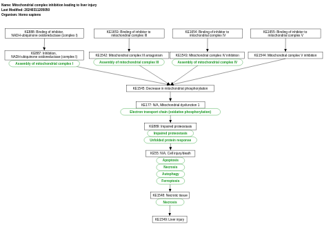 Mitochondrial complex inhibition leading to liver injury