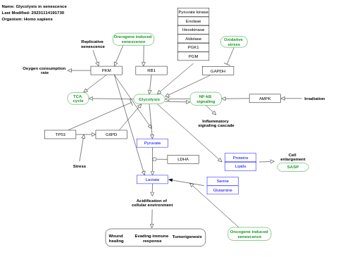 Glycolysis in senescence