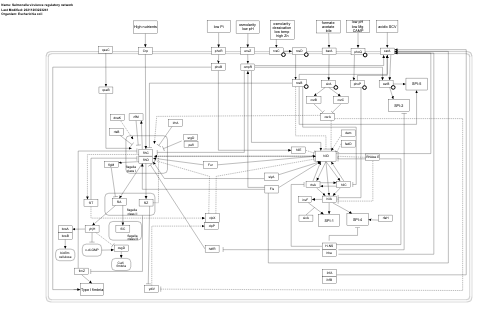 Salmonella virulence regulatory network