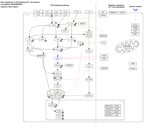 Modulators of TCR signaling and T cell activation