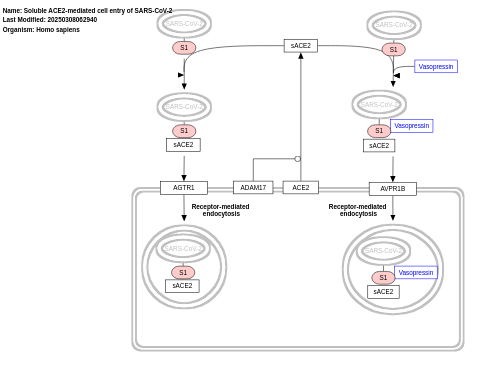 Soluble ACE2-mediated cell entry of SARS-CoV-2