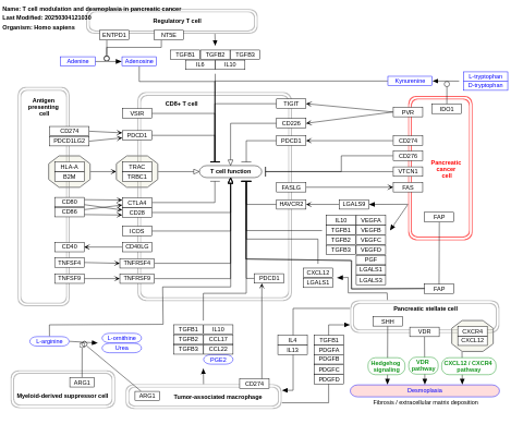 T cell modulation in pancreatic cancer