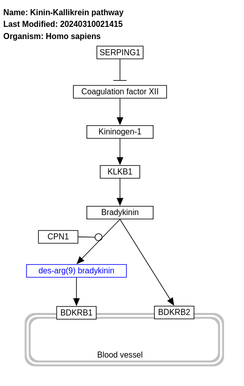 Kinin-Kallikrein pathway