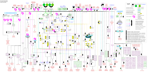 Orexin receptor pathway