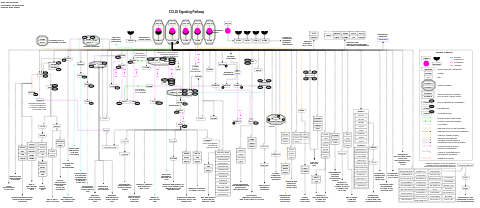 CCL18 signaling pathway