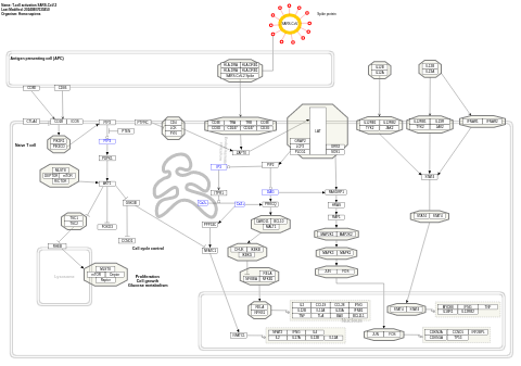 T-cell activation SARS-CoV-2