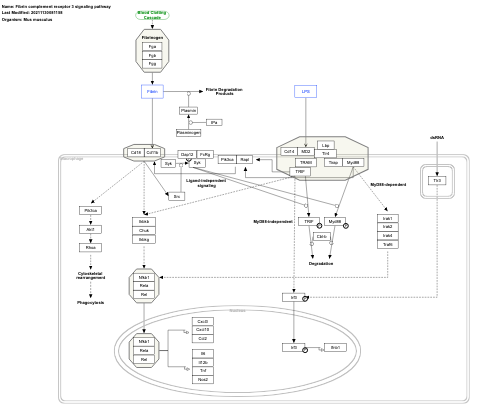 Fibrin complement receptor 3 signaling pathway