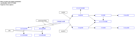 Linoleic acid oxylipin metabolism