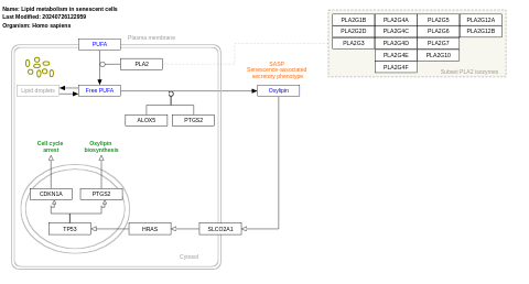 Lipid metabolism in senescent cells