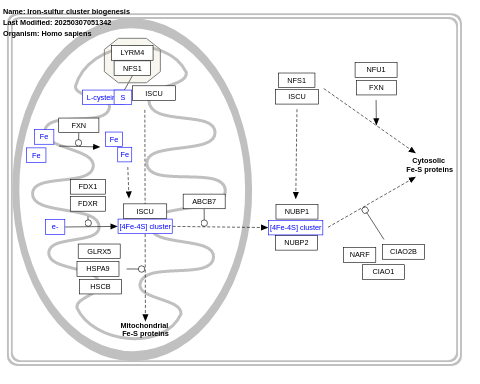 Iron-sulfur cluster biogenesis