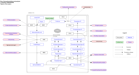 Hemesynthesis defects and porphyrias