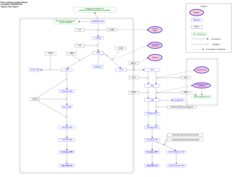 Leukotriene metabolic pathway