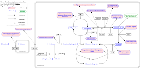 Disorders of galactose metabolism 