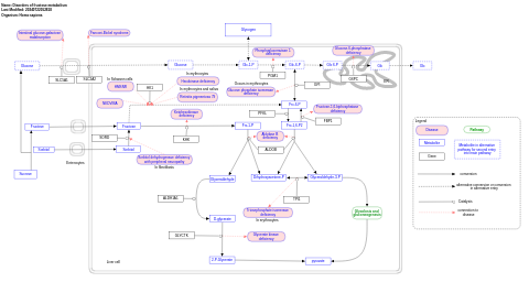 Disorders of fructose metabolism