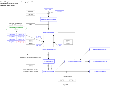 Biosynthesis and turnover of 1-deoxy-sphingoid bases