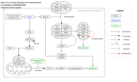 Pro-survival signaling of neuroprotectin D1