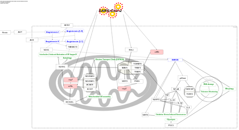 SARS-CoV-2 mitochondrial chronic oxidative stress and endothelial dysfunction