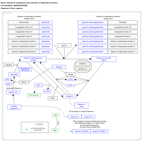 Vitamin K metabolism and activation of dependent proteins