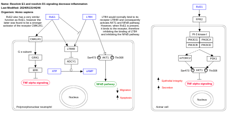 Resolvin E1 and resolvin D1 signaling decrease inflammation