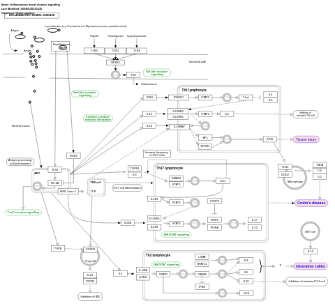 Inflammatory bowel disease signaling