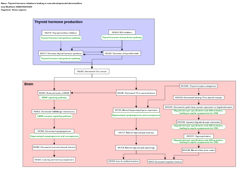 Thyroid hormone imbalance leading to neurodevelopmental abnormalities