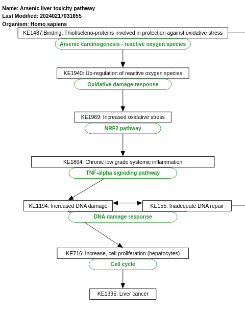 Arsenic liver toxicity pathway