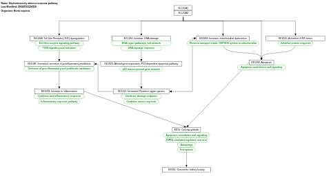 Nephrotoxcicity adverse outcome pathway