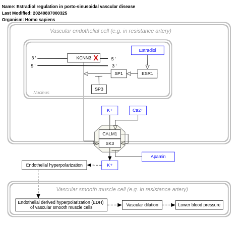 Estradiol regulation in porto-sinusoidal vascular disease