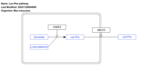 Lac-Phe pathway