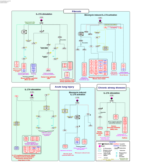 Comprehensive IL-17A signaling