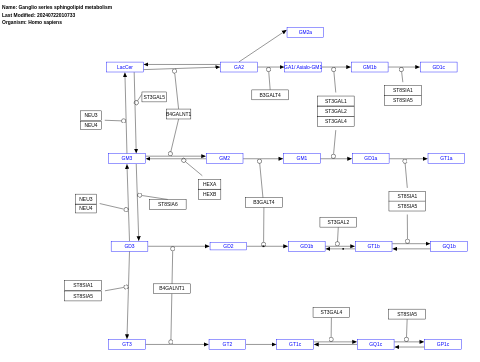 Ganglio series sphingolipid metabolism