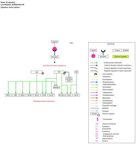 ID signaling pathway