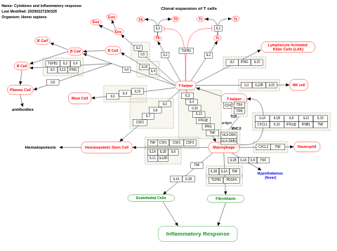 Cytokines and inflammatory response