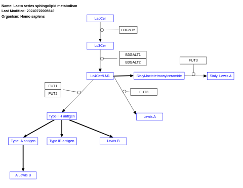 Lacto series sphingolipid metabolism