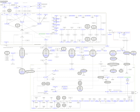 Cholesterol metabolism