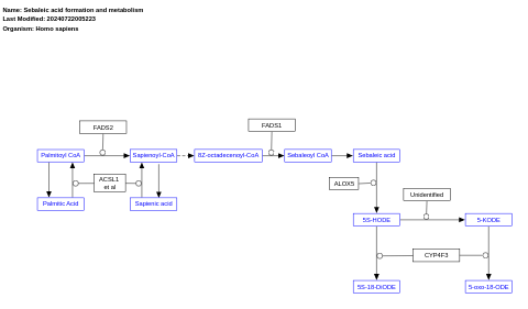 Sebaleic acid formation and metabolism