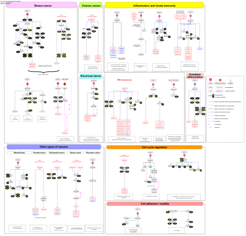 Macrophage-stimulating protein (MSP) signaling network map