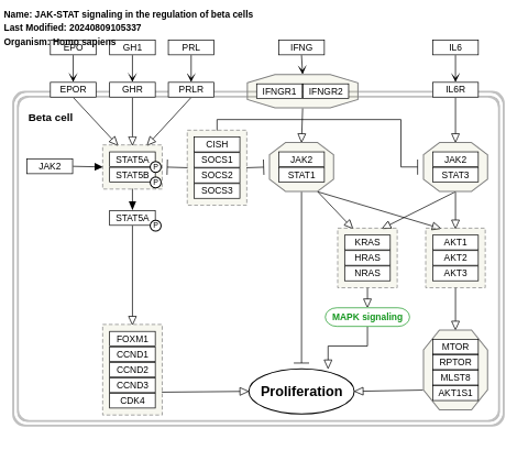 JAK-STAT signaling in the regulation of beta cells