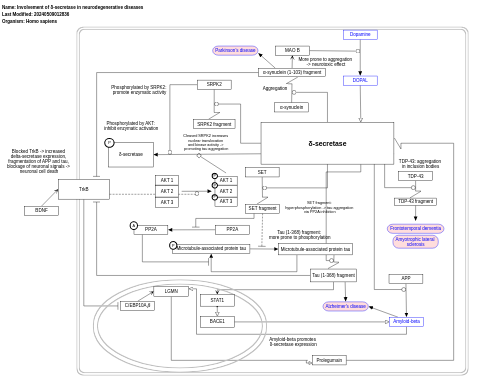 Involvement of δ-secretase in neurodegenerative diseases