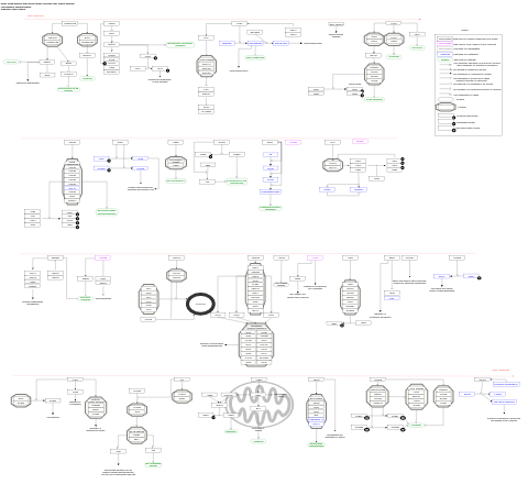 Smith-Magenis and Potocki-Lupski syndrome copy number variation