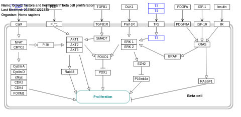 Growth factors and hormones in beta cell proliferation