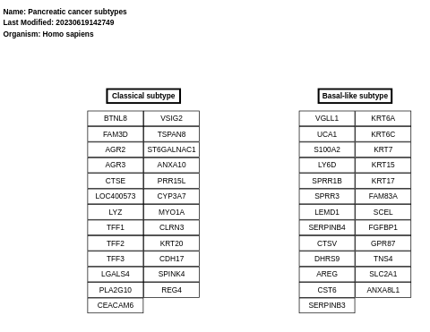 Pancreatic cancer subtypes
