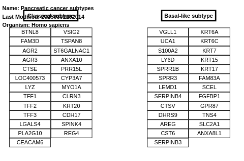 Pancreatic cancer subtypes