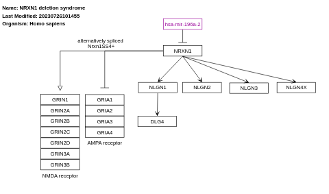 NRXN1 deletion syndrome