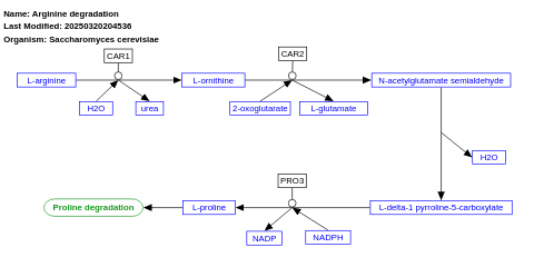 Arginine degradation