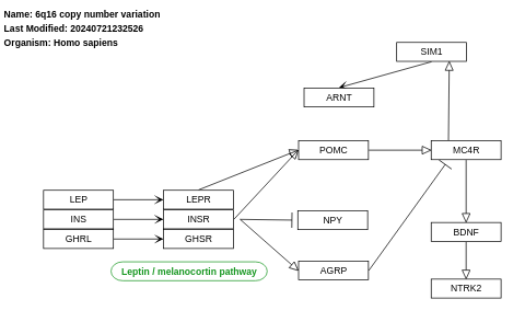 6q16 copy number variation