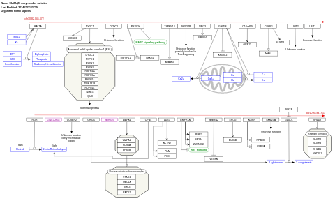 10q22q23 copy number variation