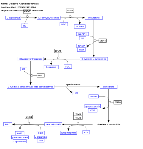 De novo NAD biosynthesis