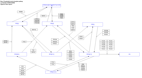 Phosphatidyl inositol phosphate pathway