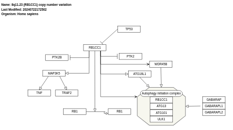 8q11.23 (RB1CC1) copy number variation